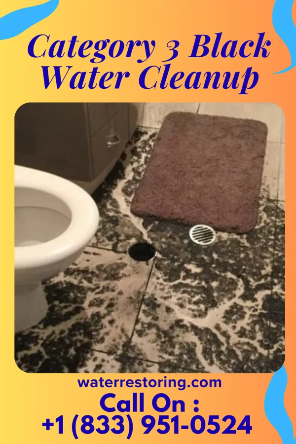 Category 3 Black Water Cleanup in Morgan's Point, TX